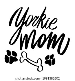 Download Yorkie Mom High Res Stock Images Shutterstock