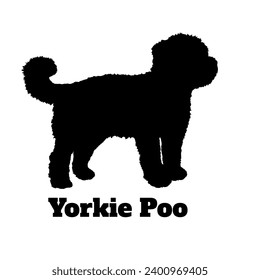 Razas de Yorkie Poo Dog Silhouette
