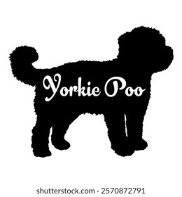 Yorkie Poo dog silhouette, dog breeds, logo, vector, silhouette,  animal, illustration, icon, sign, design, black, symbol, pet, love
