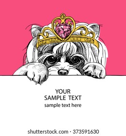 Yorkie portrait in a crown on pink background. Vector illustration.