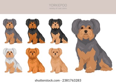 Yorkiepoo clipart. Yorkshire terrier Poodle mix. Different coat colors set.  Vector illustration