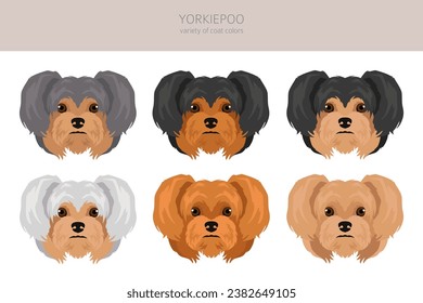 Yorkiepoo Clipkunst. Yorkshire Terrier Poodle Mix. Verschiedene Farben für den Mantel.  Vektorgrafik