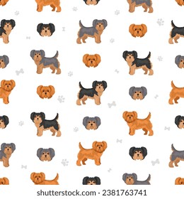 Yorkiepoo seamless pattern. Yorkshire terrier Poodle mix. Different coat colors set.  Vector illustration