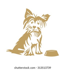 Yorkshire terrier and bowl