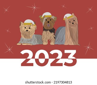 Yorkshire terrier breed, dog pedigree drawing. Cute dog characters in various poses, designs for prints, adorable and cute Christmas Yorkie cartoon vector set, in different poses. Flat cartoon style.