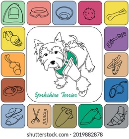 Yorkshire Terrier care and maintenance. Accessories for a pet small dog