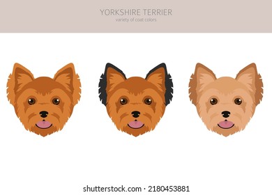 Yorkshire Terrier clipart. Different poses, coat colors set.  Vector illustration