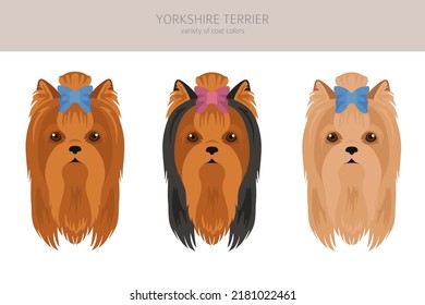 Yorkshire Terrier clipart. Different poses, coat colors set.  Vector illustration