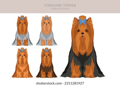 Yorkshire Terrier clipart. Different poses, coat colors set.  Vector illustration