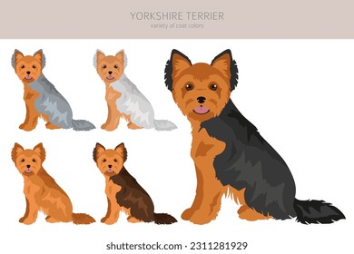 Yorkshire Terrier clipart. Different poses, coat colors set.  Vector illustration