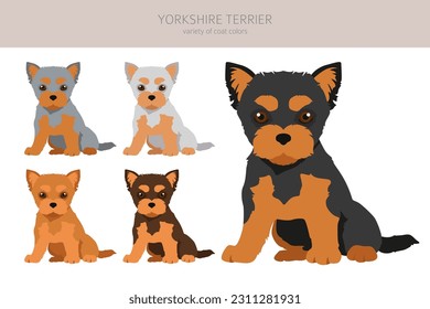 Yorkshire Terrier clipart. Different poses, coat colors set.  Vector illustration