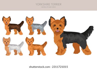 Yorkshire Terrier clipart. Different poses, coat colors set.  Vector illustration