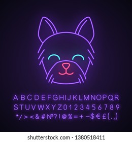 Yorkshire Terrier cute kawaii neon light character. Dog with smiling muzzle. Animal smiling eyes. Funny emoji, emoticon. Glowing icon with alphabet, numbers, symbols. Vector isolated illustration