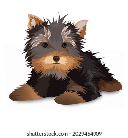 Yorkshire terrier cute puppy. Isolated vector illustration. Pets. Dog on a white background