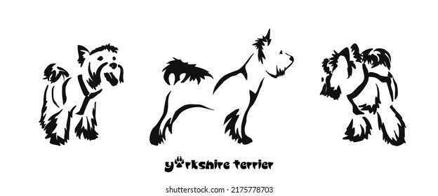 Yorkshire terrier in different poses. Vector drawing of a small dog with a haircut and hypoallergenic hair. Stylized gestalt image of an animal