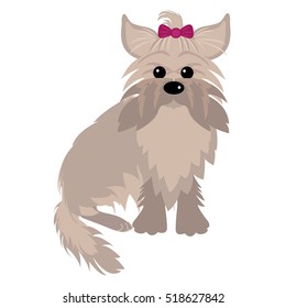 Yorkshire Terrier dog