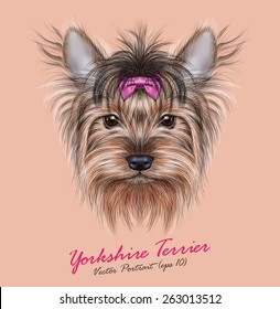 Yorkshire terrier Dog animal cute face. Vector adorable happy Yorkshire girl puppy head portrait with bow accessory. Realistic funny fur portrait of Yorkshire dog isolated on beige background.