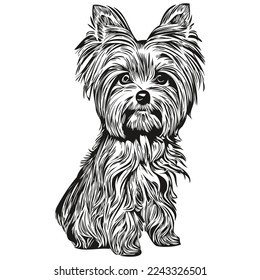 Yorkshire Terrier dog black and white vector logo, line art hand drawn vector pets illustration
