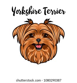 Yorkshire terrier dog breed. Dog portrait. Yorkshire Terrier portrait. Vector illustration