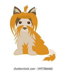 Yorkshire Terrier dog Flat vector icon illustration on white background