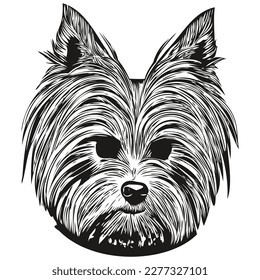 Yorkshire Terrier dog hand drawn vector line art drawing black and white logo pets illustration
