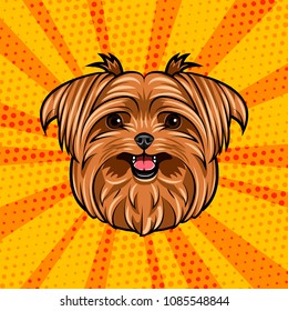 Yorkshire terrier dog head. Cute domestic dog portrait. Dogs face, muzzle. Colorful background. Vector illustration.