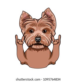 Yorkshire terrier dog. Horns, Rock gesture. Cute domestic dog portrait. Vector illustration.