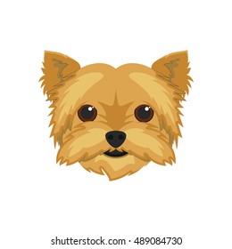 Yorkshire Terrier dog isolated on white background vector illustration