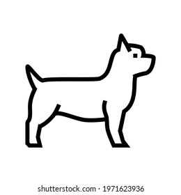 yorkshire terrier dog line icon vector. yorkshire terrier dog sign. isolated contour symbol black illustration