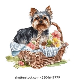 Perro Terrier de Yorkshire en cesta de picnic con ilustración de vectores acuáticos de flores