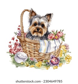 Perro Terrier de Yorkshire en cesta de picnic con ilustración de vectores acuáticos de flores