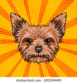 Yorkshire terrier dog portrait. Cute dog. Yorkshire Terrier breed. Vector illustration isolated on colorful background.