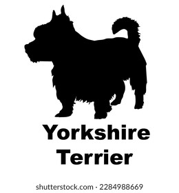 yorkshire terrier Dog silhouette dog breeds