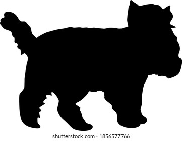 Yorkshire Terrier dog silhouette on a white background