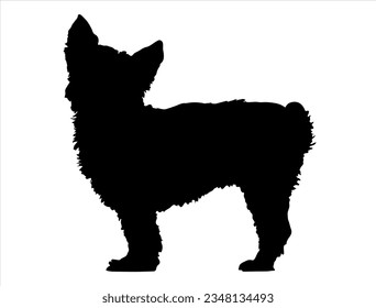 Yorkshire terrier dog silhouette vector art