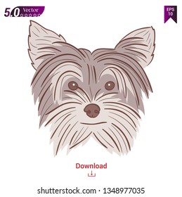 yorkshire terrier dog vector.illustration