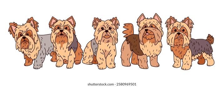 Yorkshire Terrier dogs cute cartoon style illustration. Five adorable dogs standing with detailed fur in various shades of brown and gray