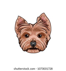 Yorkshire terrier face. Dog head. yorkshire terrier portrait. Dog breed. Vector illustration