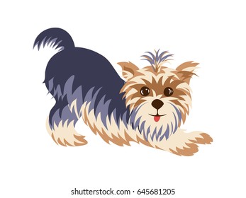 Yorkshire Terrier in a funny pose hand drawn painted cartoon. Purebred cute character in a flat style isolated on a white background.