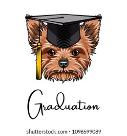 Yorkshire terrier graduate. Graduations hat cap. Dog portrait. Cute pet. Vector illustration.