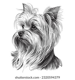 Yorkshire terrier head sketch hand drawn in doodle style Pets illustration