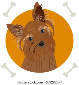 Yorkshire terrier. Icon, logo, symbol.