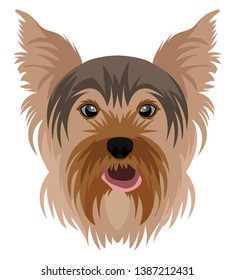 Yorkshire Terrier illustration vector on white background