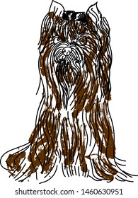 Yorkshire terrier, illustration, vector on white background.