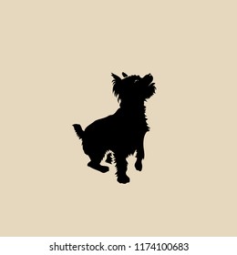 Yorkshire terrier - isolated vector illustration