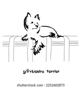A Yorkshire terrier lies on the back of the sofa. Vector drawing of a small dog with a long hypoallergenic coat. Stylized image. Gestalt animal design.
