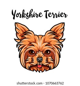 Yorkshire terrier muzzle. Dog face. Dog breed. Cute pet. Vector illustration