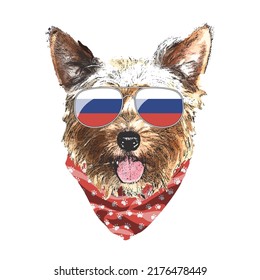 Yorkshire Terrier portrait, Cute cool dog in Russia flag glasses and bandana, Vector illustration.