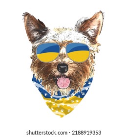 Yorkshire Terrier portrait, Cute cool dog in Ukraine flag glasses and bandana, Vector illustration.