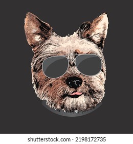 Yorkshire Terrier portrait, Cute cool dog in glasses, Vector illustration.